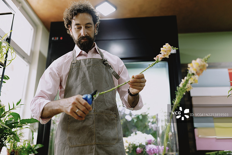花艺师正在修剪花枝，准备制作花束图片素材