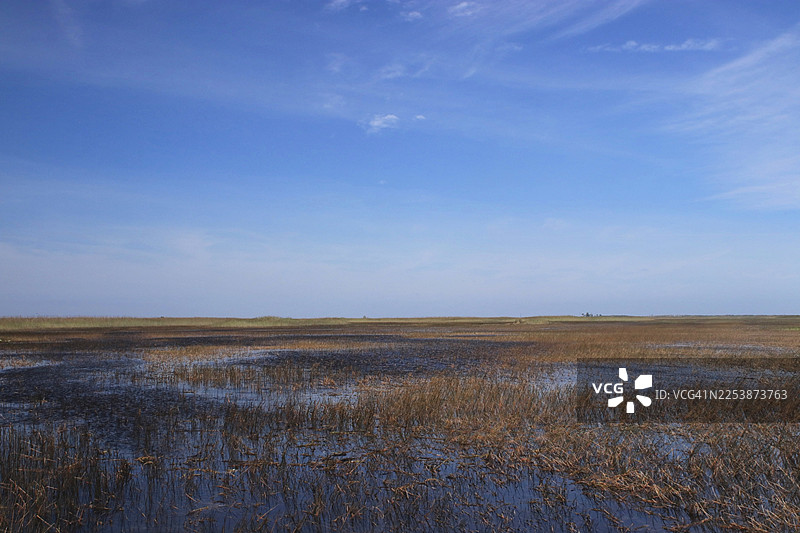 从气垫船上看到的无尽的埃弗格莱兹湿地图片素材