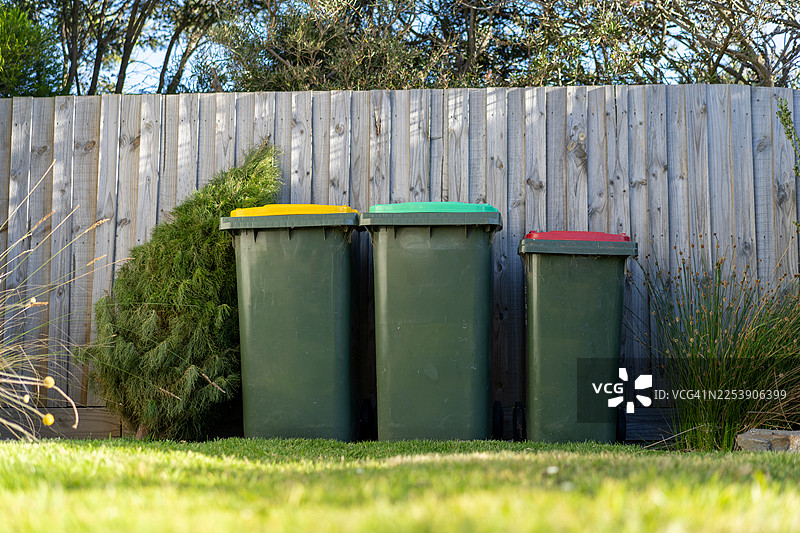圣诞节过后被丢弃在垃圾箱旁的圣诞树图片素材