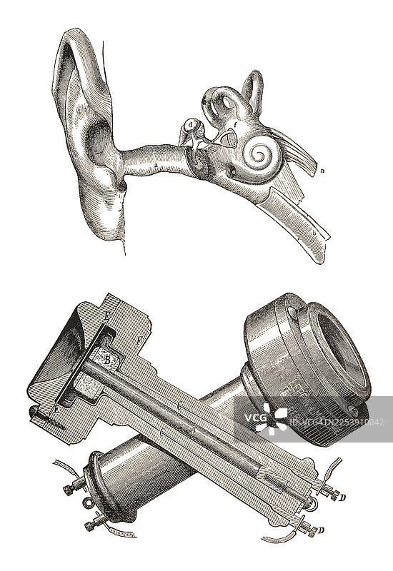 人耳解剖结构与电话图片素材