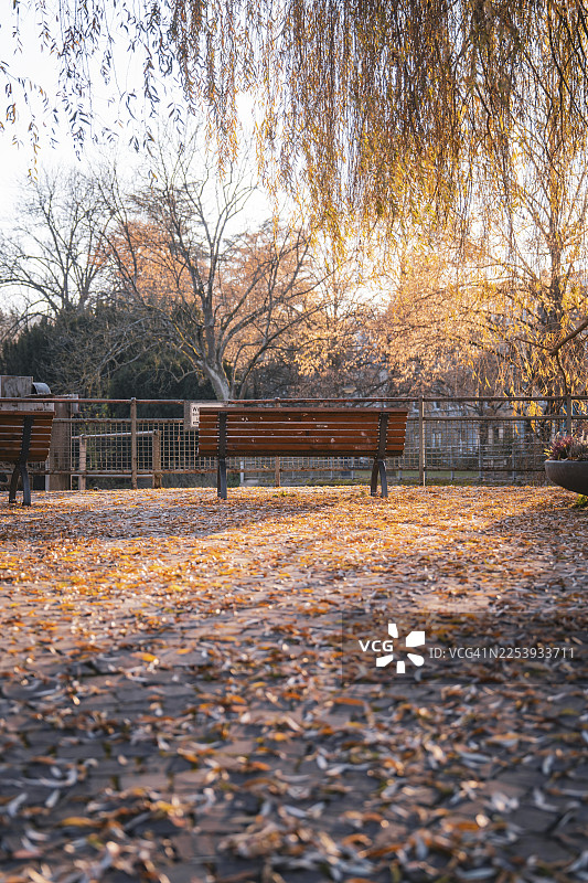 秋叶覆盖的区域中的公园长椅，位于德国普福尔茨海姆市花园图片素材