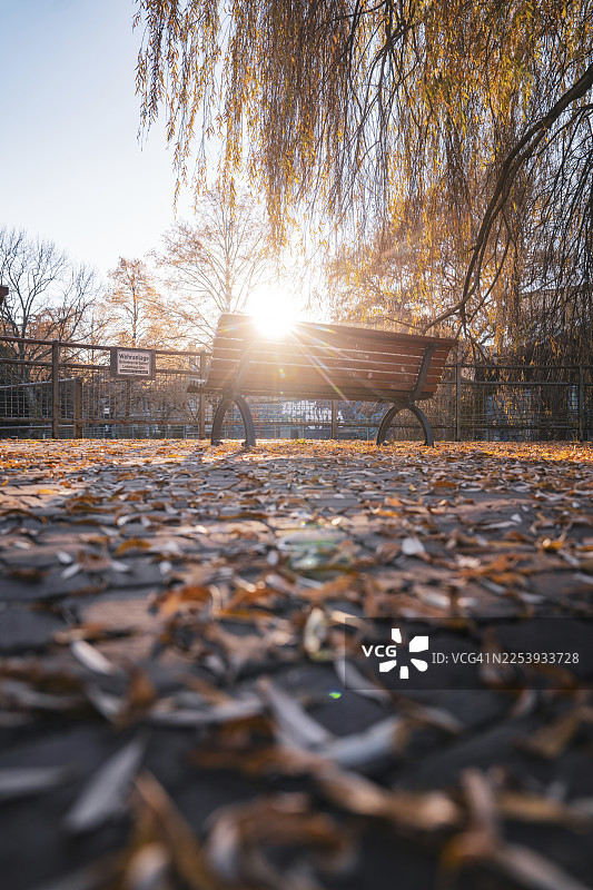 德国普福尔茨海姆市花园的长椅在夕阳下，周围是秋天的落叶图片素材