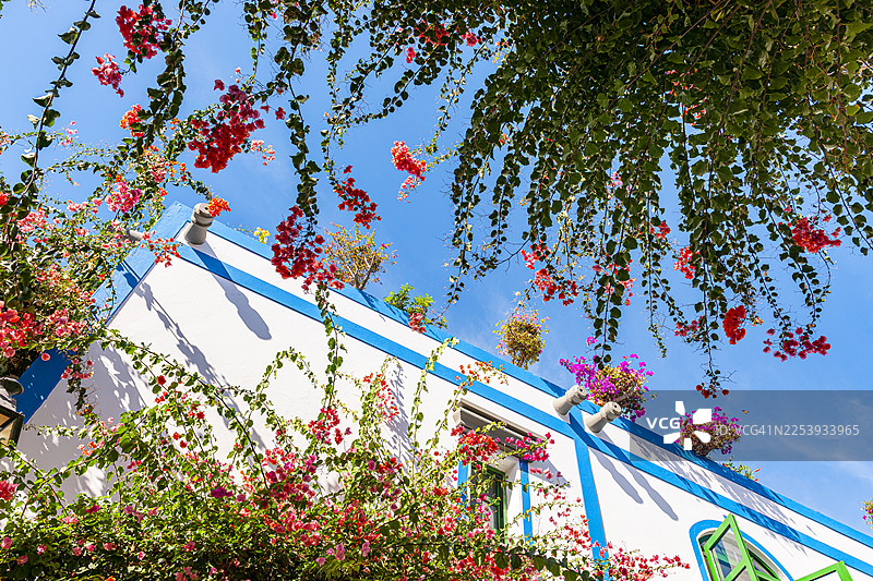 大加那利岛，莫干港的房子图片素材