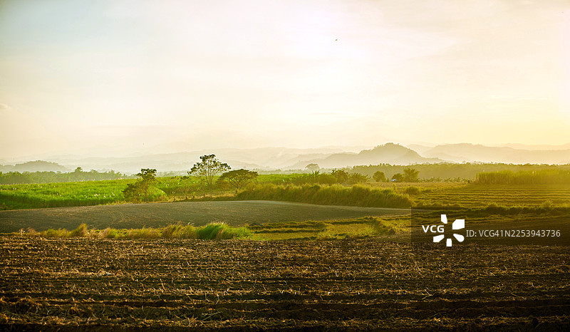 温暖的金黄色风景，低垂的阳光在远山投下朦胧的光晕。图片素材