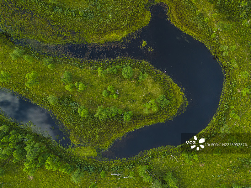 俯视湖泊坐落于绿色景观之中图片素材