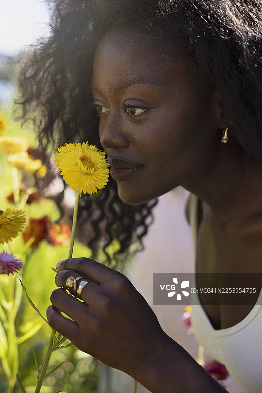 卷发年轻女子闻着菊花图片素材