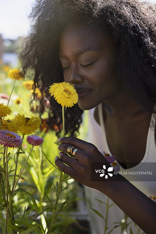 卷发年轻女子闭眼闻着菊花图片素材