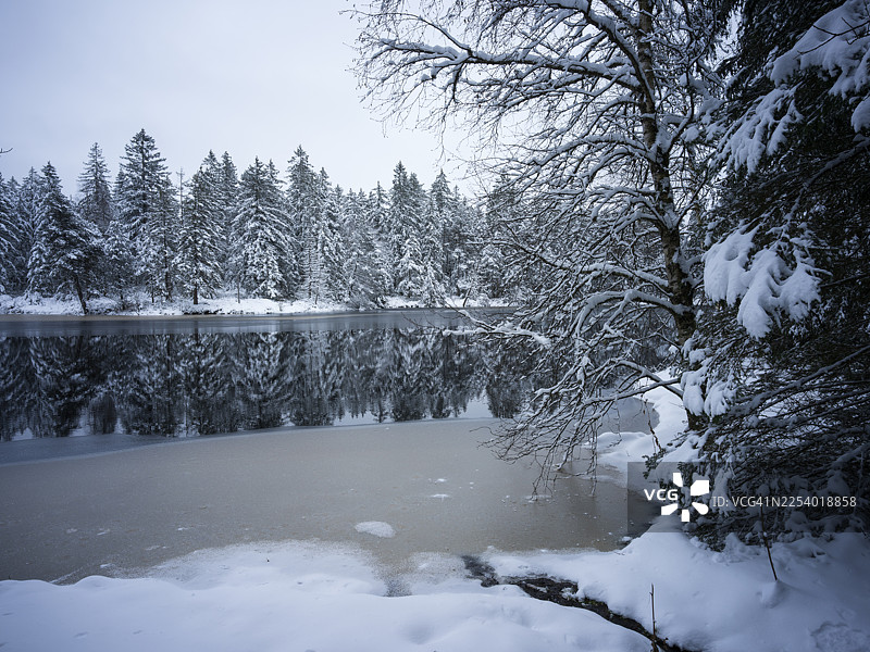 拉格吕耶尔湖的松树和下雪天气图片素材