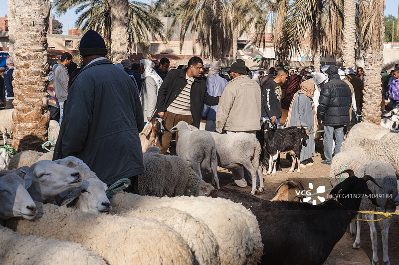 突尼斯杜兹绿洲的集市图片素材