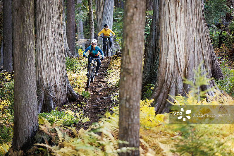 耐力山地自行车图片素材