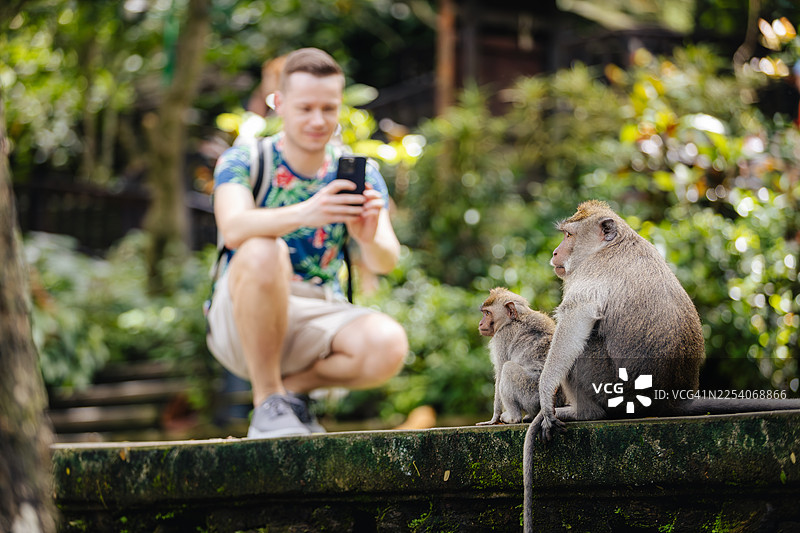 游客在巴厘岛的猴子森林用手机拍摄猕猴图片素材