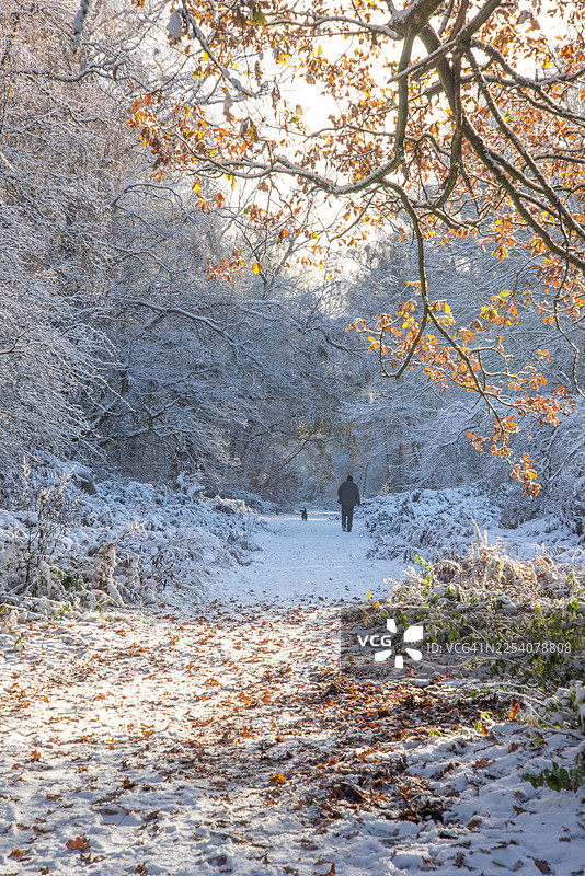 冬季的阿什里奇图片素材