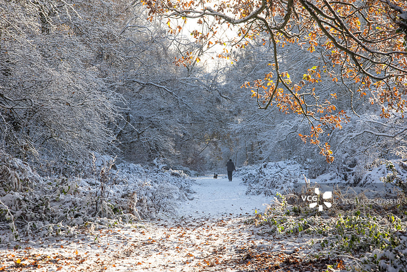冬季的阿什里奇图片素材