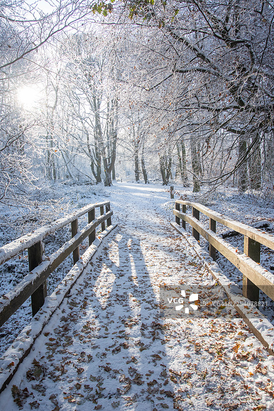 冬季的阿什里奇图片素材