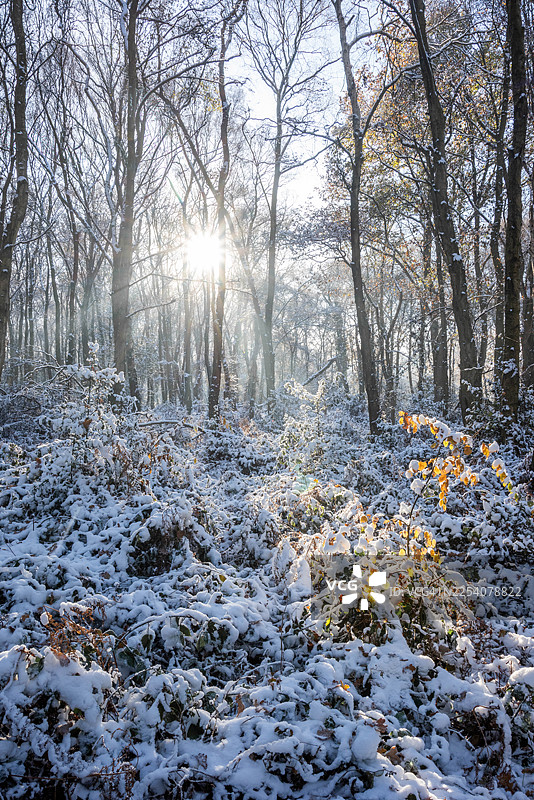 冬季的阿什里奇图片素材
