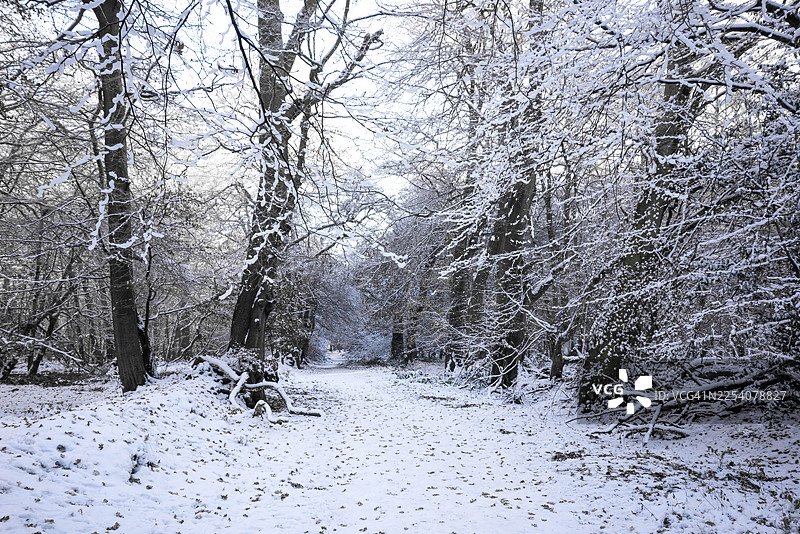 冬季的艾什里奇图片素材