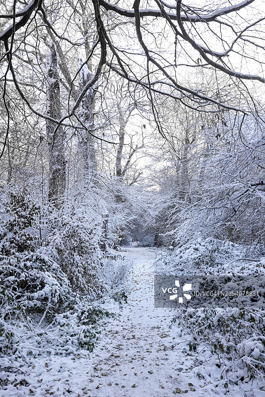 冬季的艾什里奇图片素材