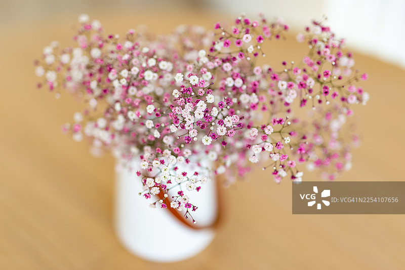 花瓶中数量众多、细小的粉色、紫色和紫罗兰色花朵，在白色背景上营造出朦胧的薄雾效果图片素材