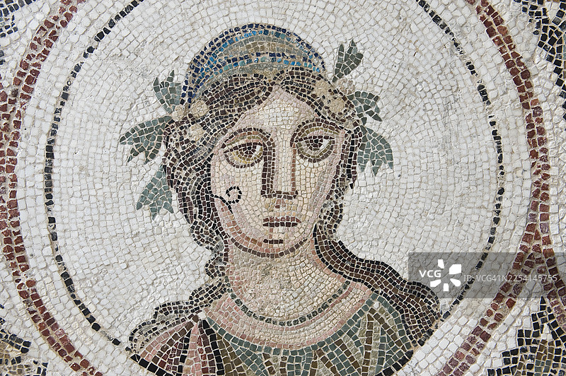 突尼斯埃尔杰姆的精美马赛克展品图片素材