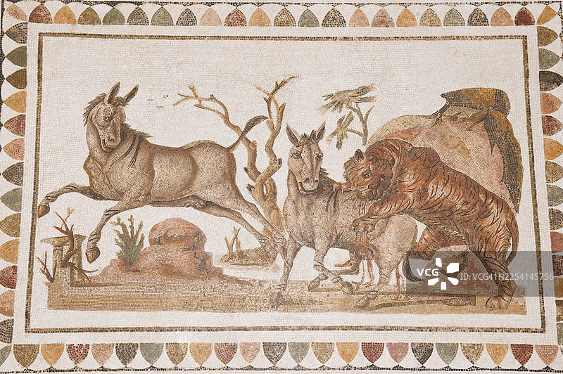 突尼斯埃尔杰姆的精美马赛克展品图片素材