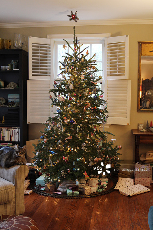 闪闪发光的圣诞装饰品点缀着一棵新鲜的 Fraser Fir 圣诞树。图片素材