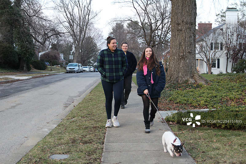 圣诞节，朋友们在社区里遛狗。图片素材