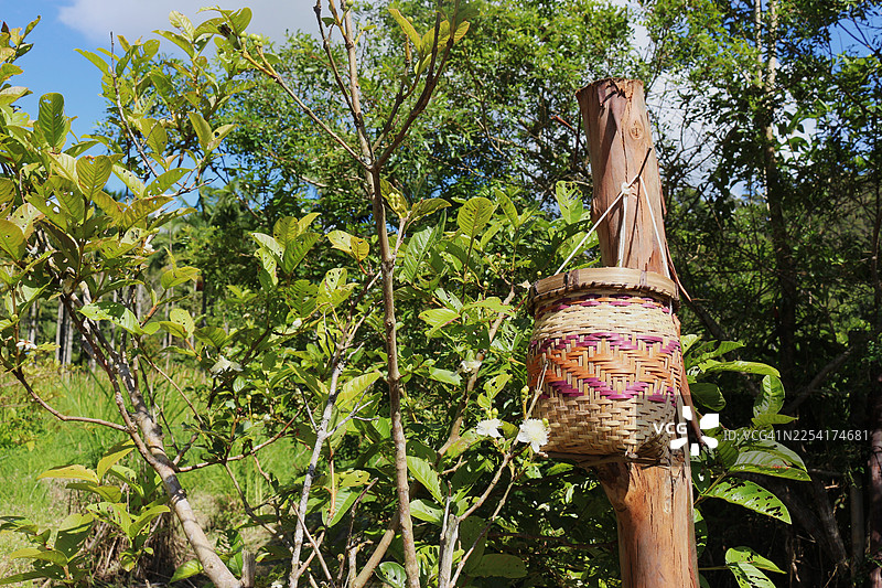 艺术和手工艺品是乡村生活的延伸。当地男女制作描绘本地动物的竹编和木雕。图片素材