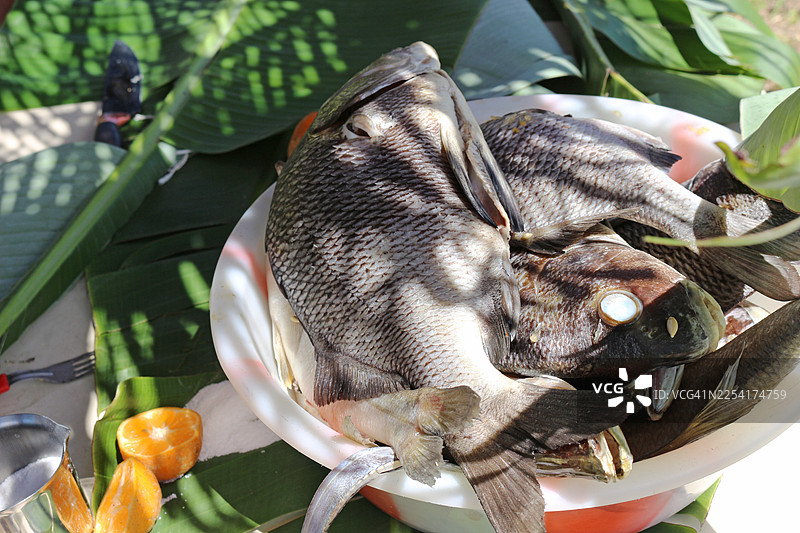 玉米面团被放入一段绿色的竹筒中。图片素材