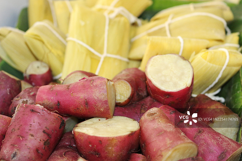 红薯和帕蒙尼亚图片素材