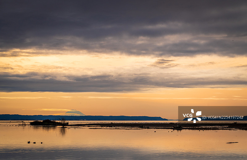 菲尔岛农场保护区是一个占地超过200英亩的野生动物保护区，位于斯卡吉特县西南部，拥有恢复的潮间带河口和管理的农田。图片素材