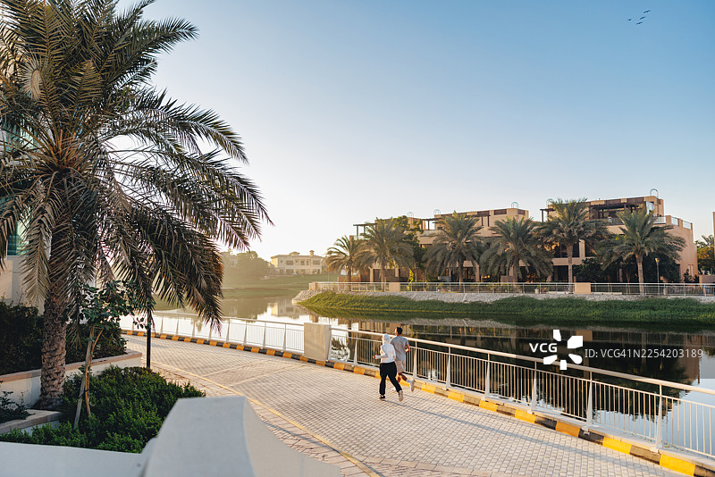 迪拜宁静运河旁的晨跑，配有棕榈树和现代建筑图片素材