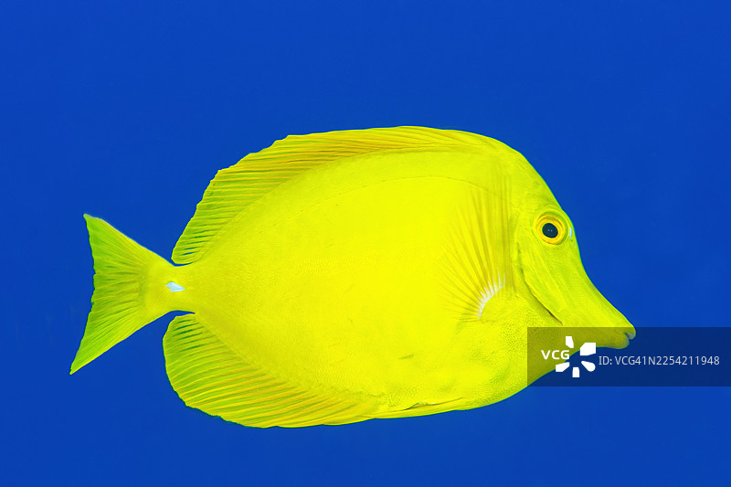 2025年8月16日图片素材