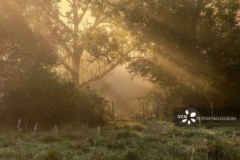 林间光线图片素材