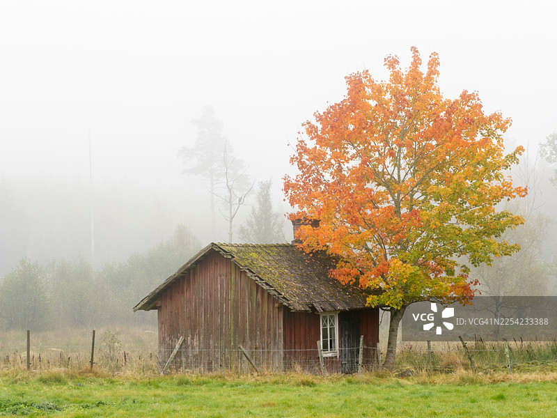 秋季废弃的房屋图片素材