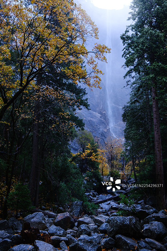 新娘面纱瀑布在加州标志性的优胜美地国家公园的秋日薄雾中奔腾而下图片素材