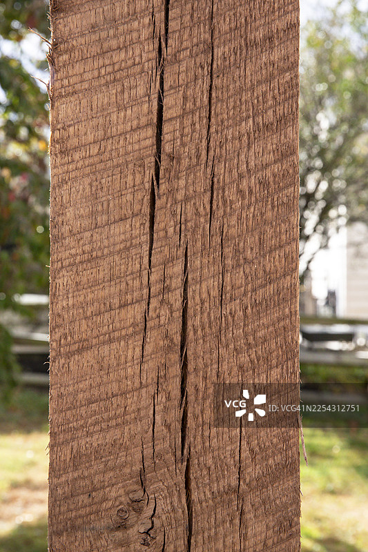 特写：开裂木梁中的木材裂缝图片素材