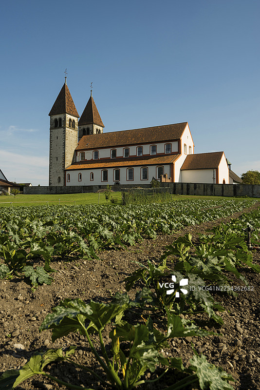 圣彼得和圣保罗大学教堂和蔬菜地，尼德策尔，联合国教科文组织世界遗产，赖兴瑙岛，康斯坦茨湖，巴登-符腾堡州，德国图片素材