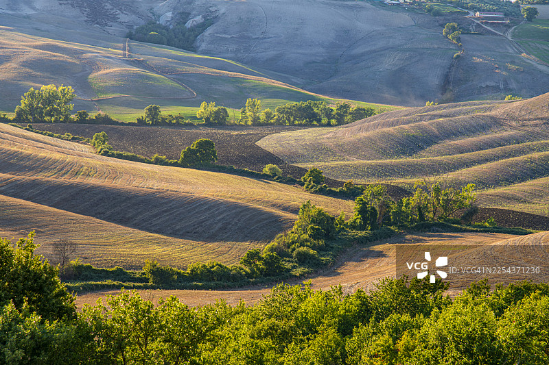 托斯卡纳，克雷特塞内西，日落时的风景图片素材