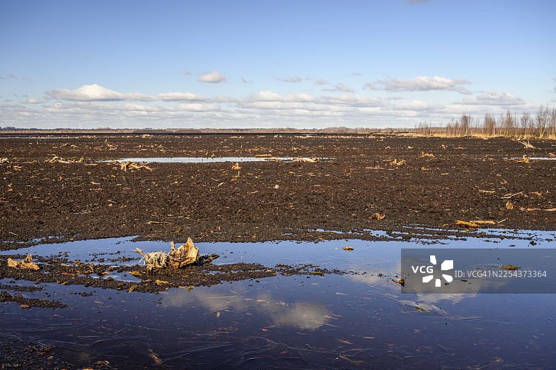 德国下萨克森州德布尔(Drebber)地区,在阴沉的天空下,迪珀霍尔茨沼泽低地(Diepholz moor lowlands)的泥炭沼泽(Mariendrebber, Drebber, Schwarztorf)呈现出泥土般的色彩和自然纹理,周围环绕着白桦林。图片素材