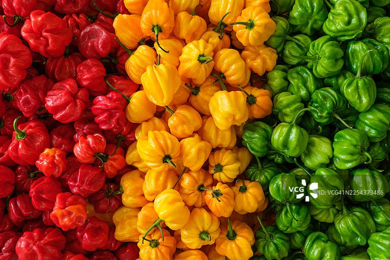 色彩编码的农产品：食物的视觉和谐。辣椒图片素材