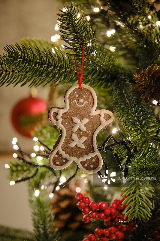 姜饼人挂在闪烁着灯光的圣诞树上图片素材