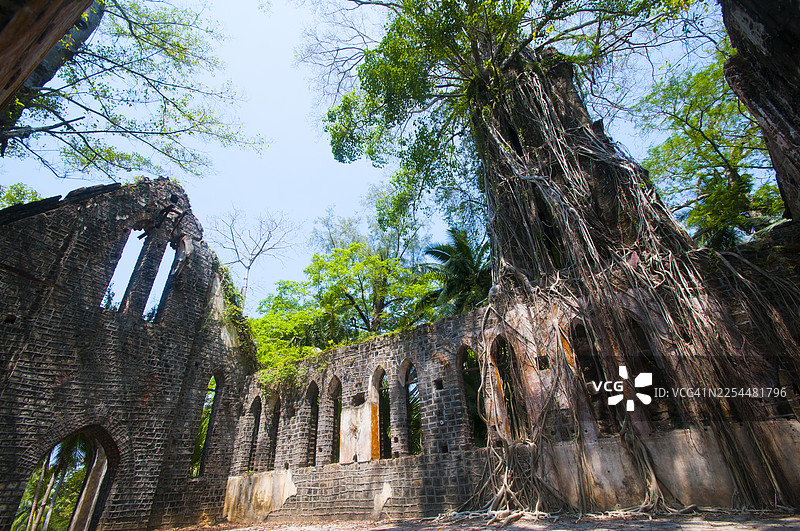 印度安达曼和尼科巴群岛，布莱尔港，罗斯岛，古老的长老会教堂遗址。图片素材