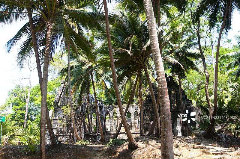 印度安达曼和尼科巴群岛，布莱尔港，罗斯岛。图片素材