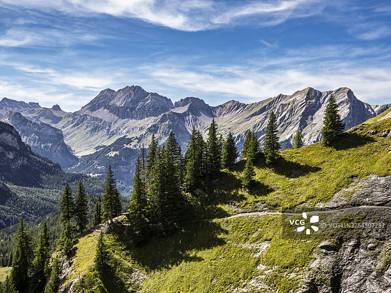 夏季瑞士阿尔卑斯山脉的山地景观，有山谷和杉树林。图片素材