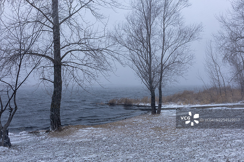 冬季湖畔风光，雪岸，枯树，湖面水汽迷蒙寒冷图片素材