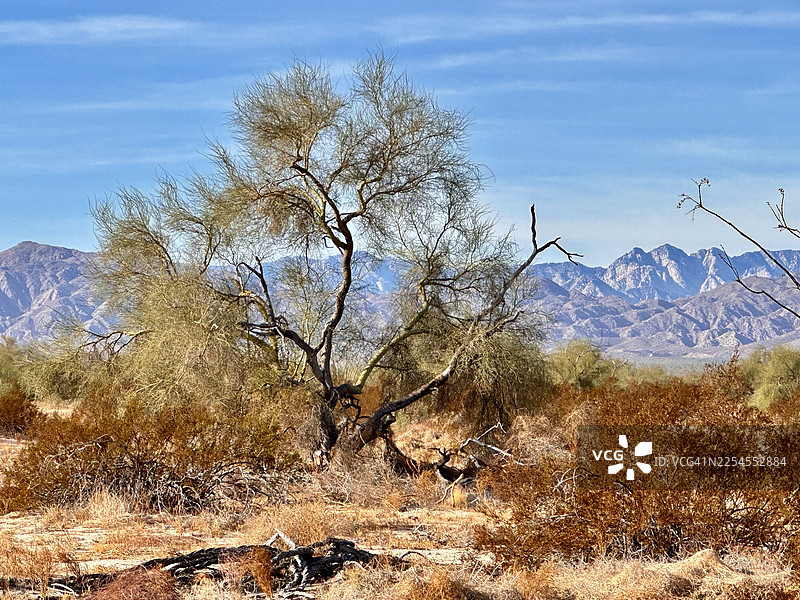 圣费利佩的沙漠冲沟和山峦地平线图片素材