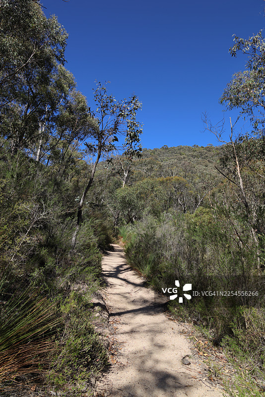 澳大利亚首都堪培拉，蒂德宾比拉自然保护区的步行道图片素材