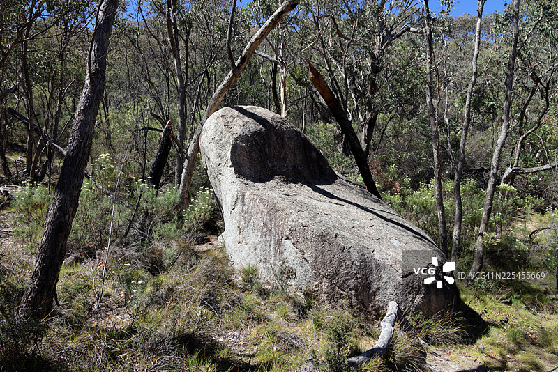 澳大利亚首都堪培拉蒂德宾比拉自然保护区直布罗陀峰步道附近的巨大花岗岩石图片素材