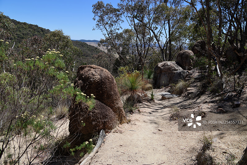 直布罗陀峰步道，蒂德宾比拉自然保护区，堪培拉，澳大利亚首都领地，澳大利亚图片素材