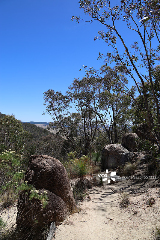 直布罗陀峰步道，蒂德宾比拉自然保护区，堪培拉，澳大利亚首都领地，澳大利亚图片素材